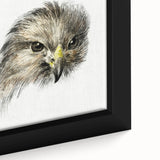Head of a Bird of Prey by Jean Bernard - Romantic Wildlife Art Print