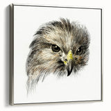 Head of a Bird of Prey by Jean Bernard - Romantic Wildlife Art Print