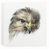 Head of a Bird of Prey by Jean Bernard - Romantic Wildlife Art Print