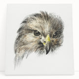 Head of a Bird of Prey by Jean Bernard - Romantic Wildlife Art Print
