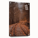 Large abstract wall art depicting fall season colors on acrylic glass, ideal for bedroom or dining room decor.