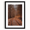 Extra large abstract art print featuring vibrant autumn hues on a textured canvas, framed in black.