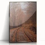 Mid-century modernist art depicting fall foliage in vibrant orange and red hues on a framed acrylic print.