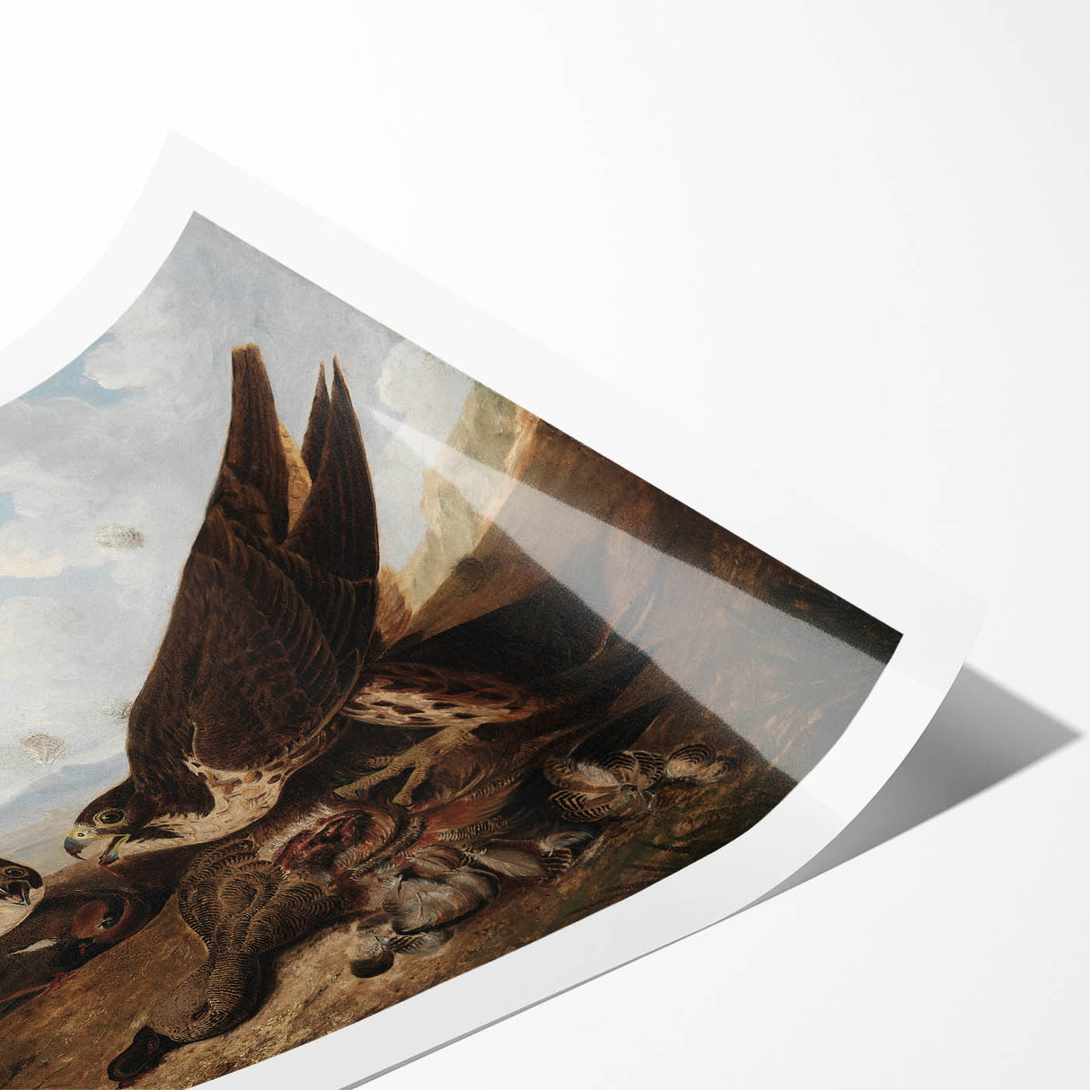 Peregrine Falcons by Audubon - Romanticism Wildlife Art Print