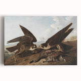 Peregrine Falcons by Audubon - Romanticism Wildlife Art Print