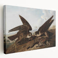 Peregrine Falcons by Audubon - Romanticism Wildlife Art Print