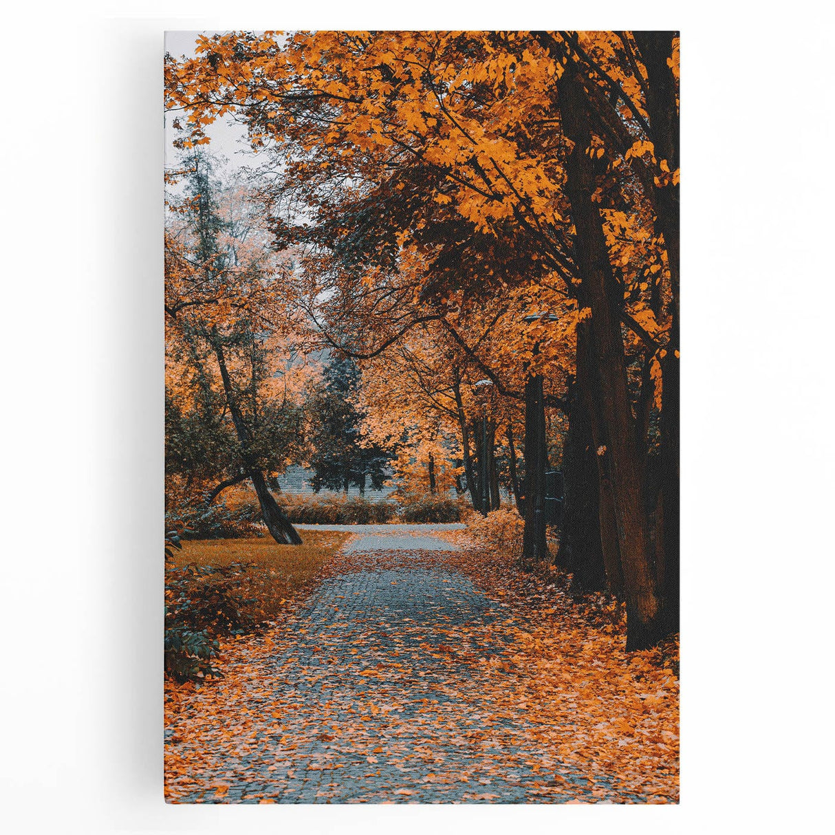 Large black and white stretched canvas depicting a minimalist fall tree, ideal for kitchen wall art.