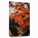 Large abstract wall art depicting autumnal trees on acrylic glass, in warm orange and red tones.