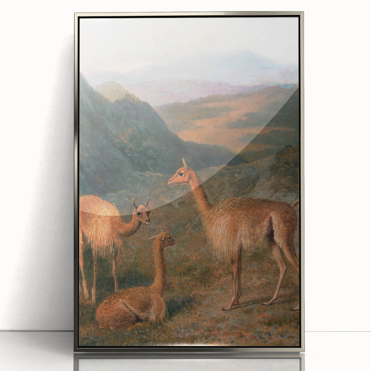 Realism Art Prints - Peaceful Vicuñas in Mountain Landscape on Canvas