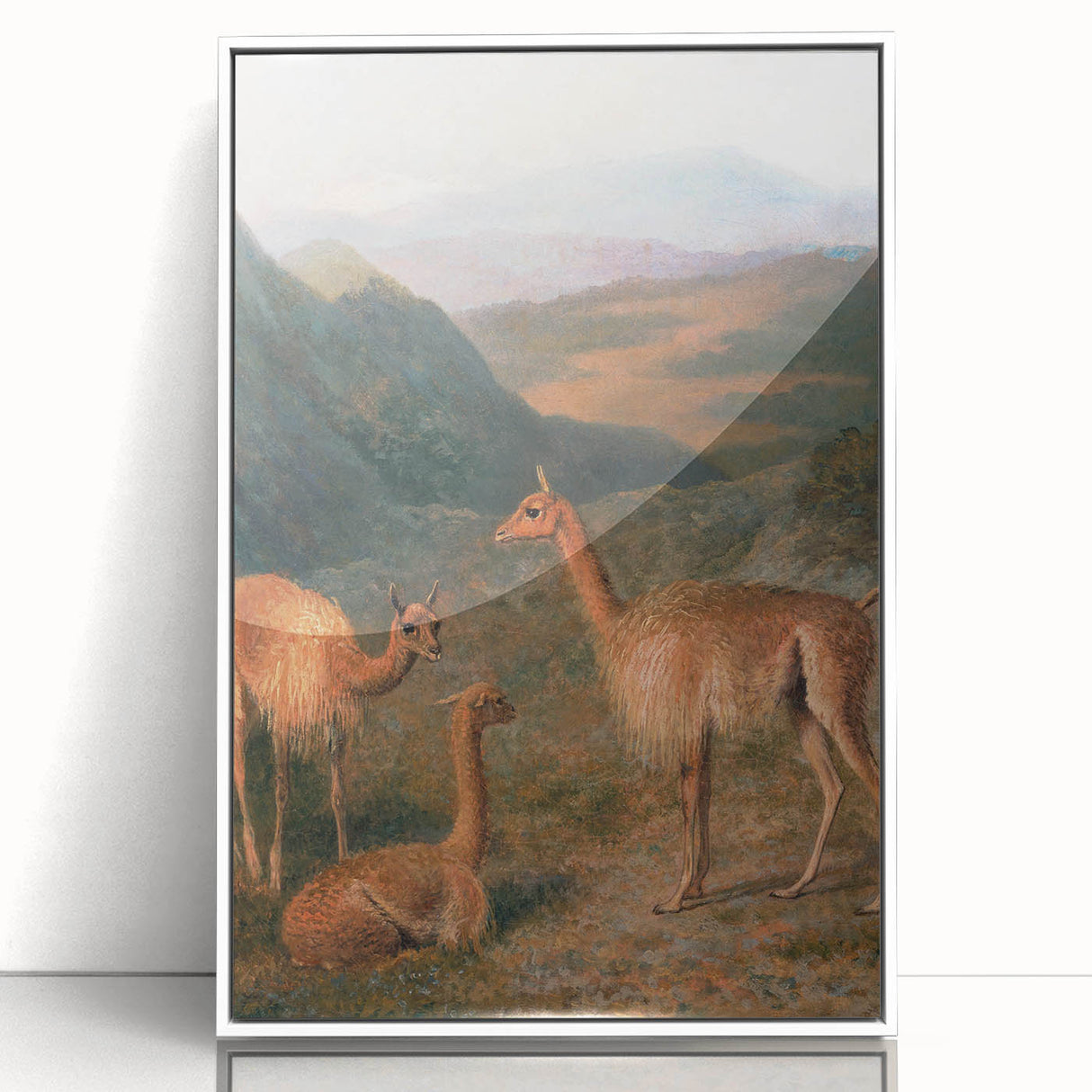 Realism Art Prints - Peaceful Vicuñas in Mountain Landscape on Canvas