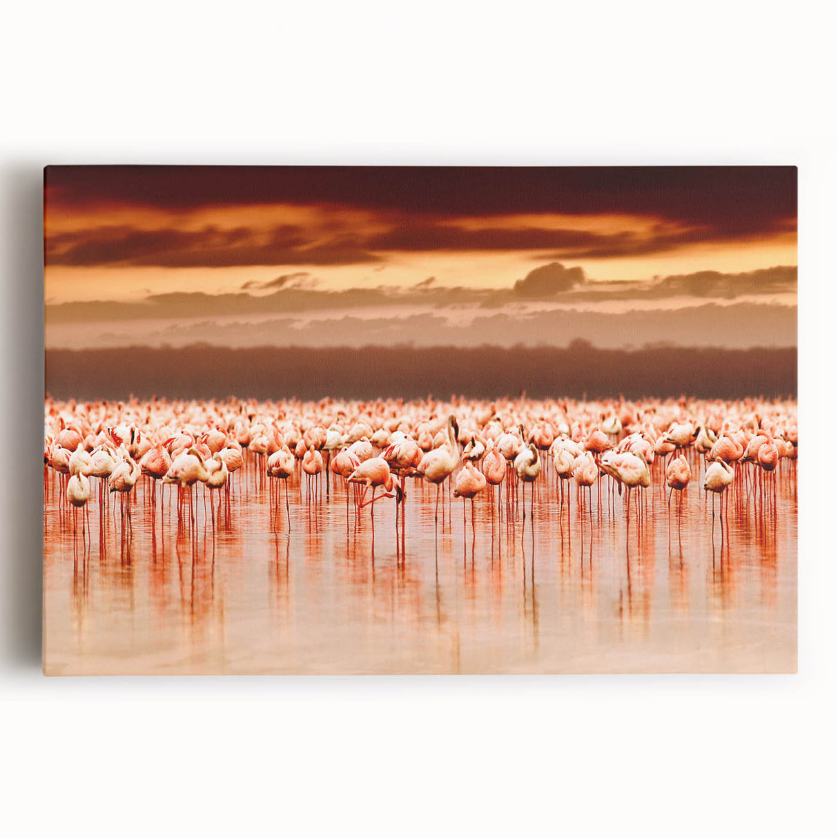 Large black and white canvas print of African scenery, ideal for kitchen wall art.