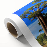 Art deco poster of Madagascar scenery in soft earth tones on rolled canvas, ideal for nursery wall art.