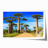 African Madagascar landscape with lush greenery on rolled print, suitable as extra large wall art for dining rooms.