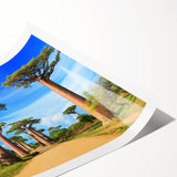 Extra large rolled print featuring line art flowers in vibrant colors, ideal for large living room wall art.