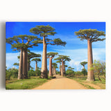 Large black and white stretched canvas of Madagascar scenery, ideal for kitchen wall art.