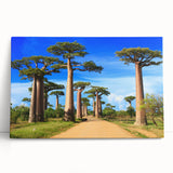 Black and white stretched canvas featuring a Madagascar scenery, ideal for kitchen wall art or bedroom ambiance.