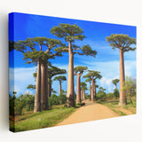 Large canvas print of a Madagascar landscape in muted earth tones, suitable for kitchen wall art.