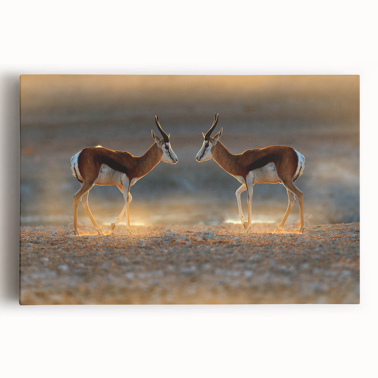 Black and white stretched canvas of a Namibian landscape, ideal for kitchen wall art.