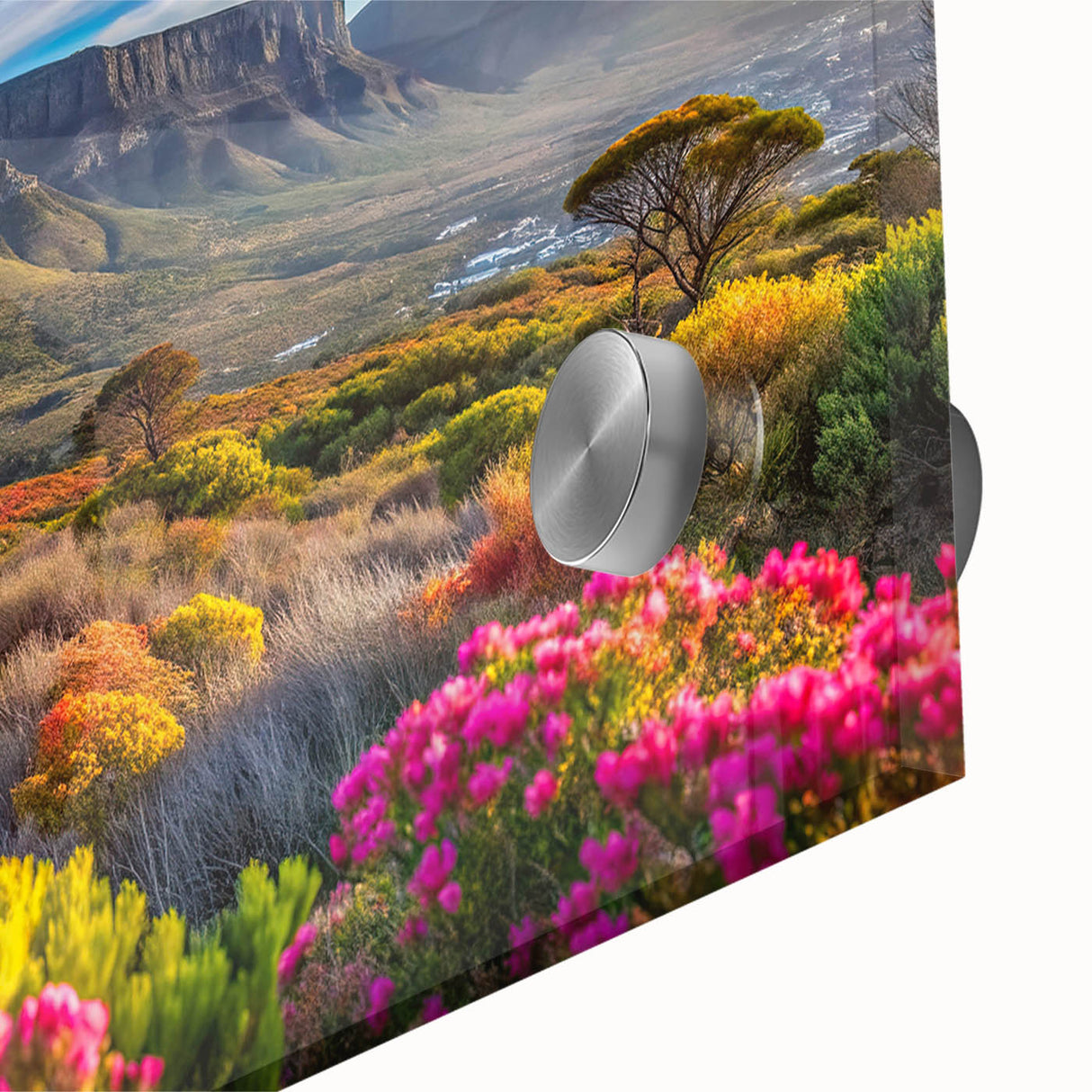 Large abstract wall art depicting South African scenery in pastel shades on acrylic glass, ideal for dining room ambiance.