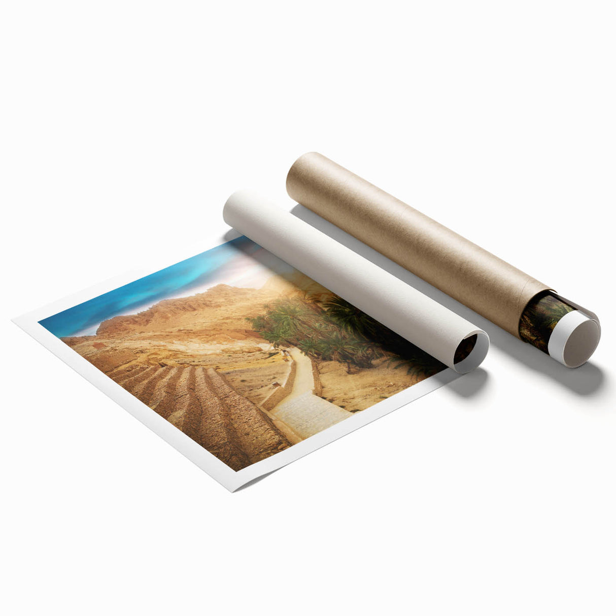 Extra large rolled print featuring a Tunisian landscape with floral elements in soft earth tones.