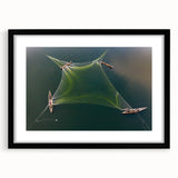 Extra large textured abstract art print featuring vibrant, colorful imagery of a Bangladesh scenery on a black framed canvas.