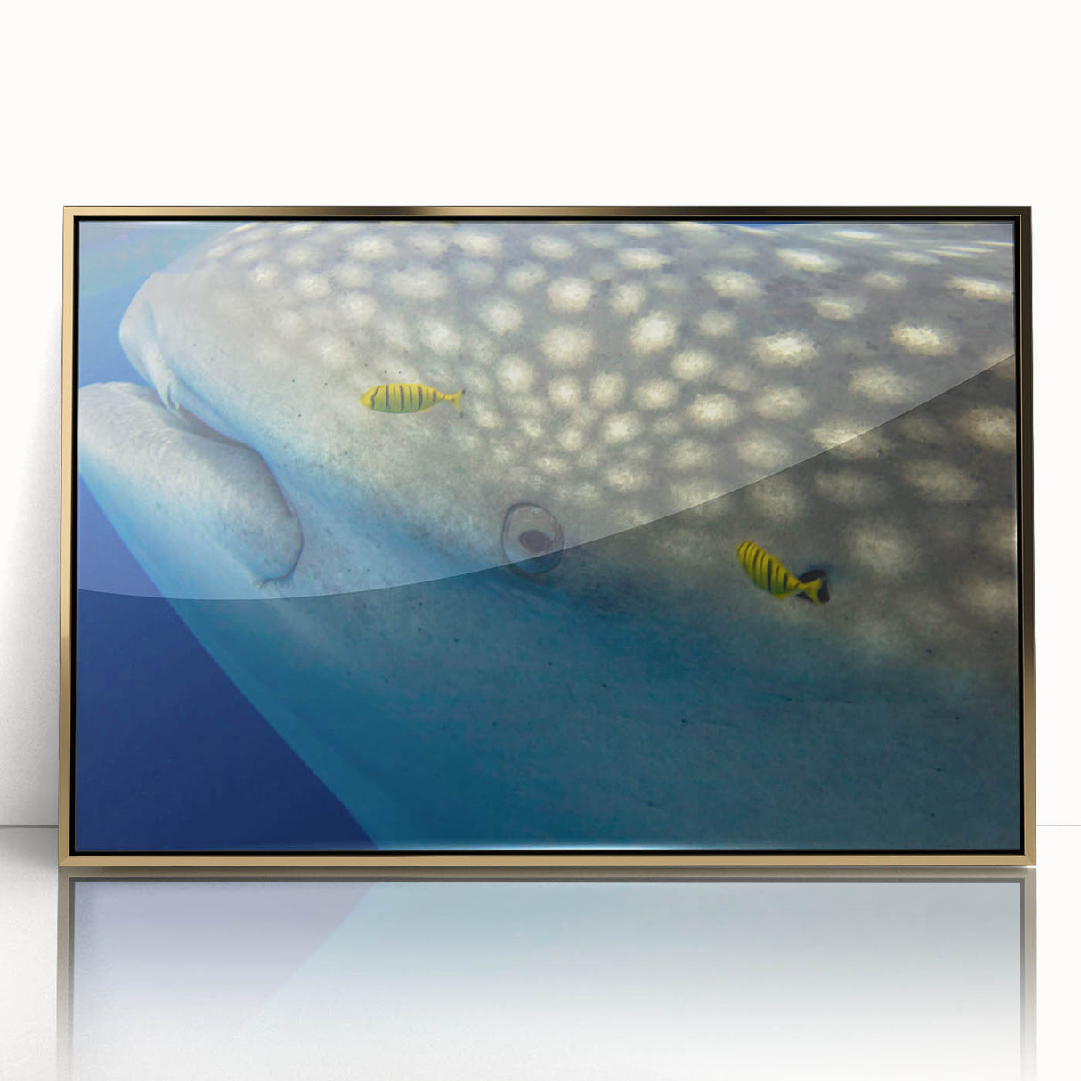 Framed acrylic print of a serene Sri Lankan landscape in muted earth tones, ideal for modern art wall decor.