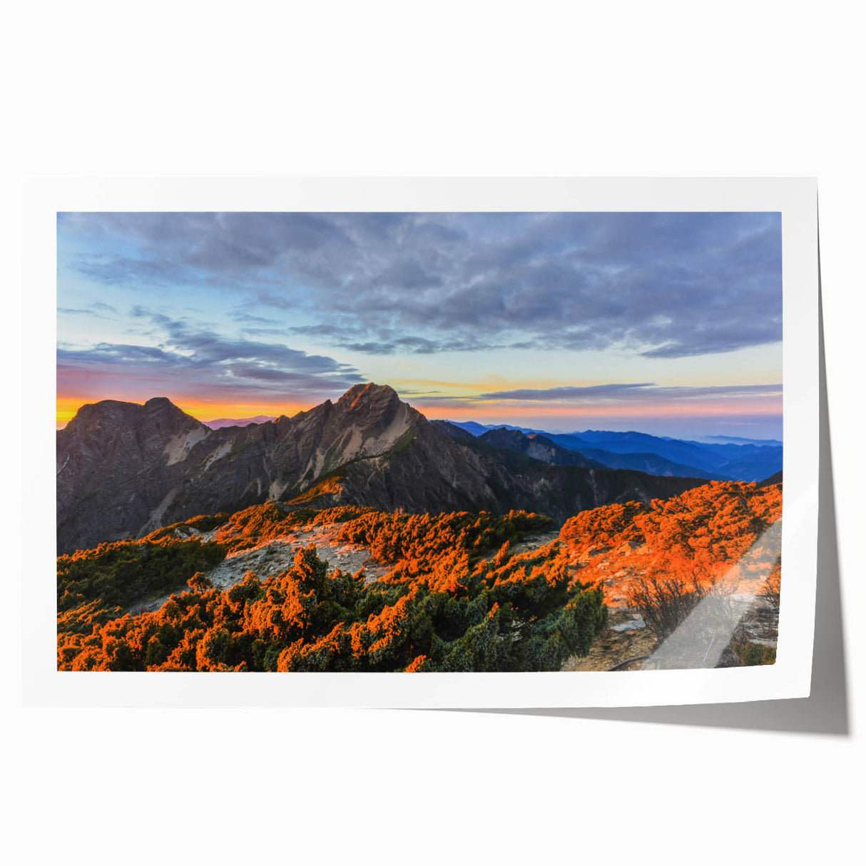 Extra large rolled print featuring a vibrant floral scene in Taiwan, ideal for art wall dining room or classy bathroom.