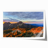 Extra large rolled print featuring a vibrant floral scene in Taiwan, ideal for art wall dining room or classy bathroom.