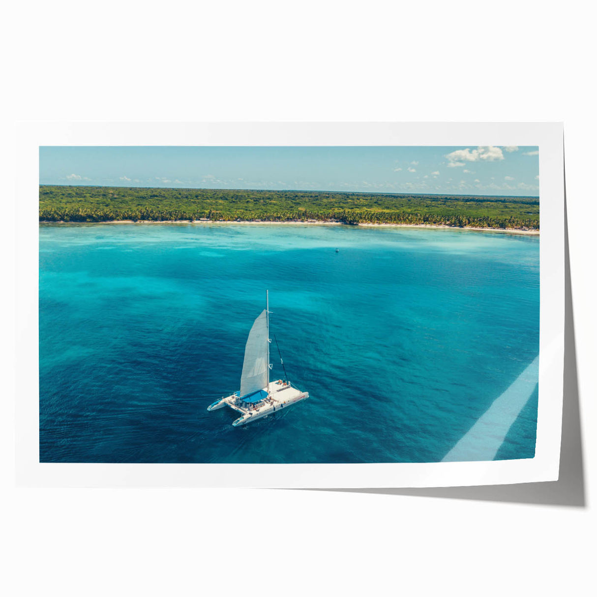 Extra large rolled print of a Caribbean scenery with vibrant floral elements, ideal for art wall dining room.