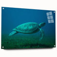 Acrylic print of a Caribbean Martinique landscape in vibrant blue and green hues, suitable for bedroom or dining room decor.