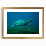 Textured abstract art print of Caribbean scenery in gold frame, ideal for bedroom wall decor.