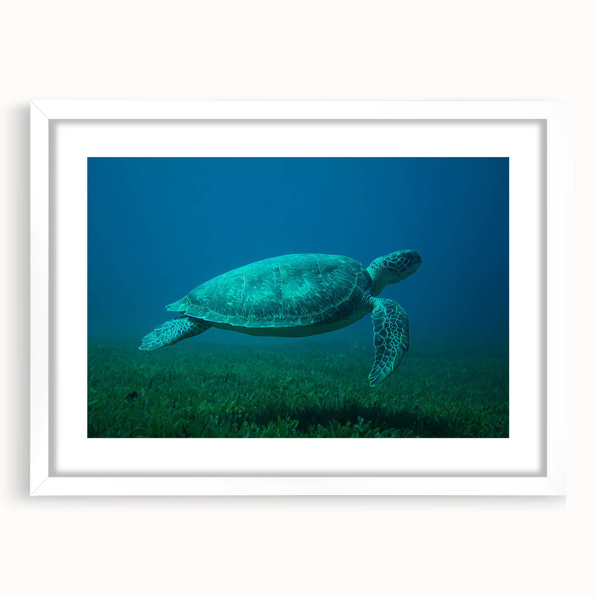 Extra large abstract art print depicting a Caribbean scenery in vibrant blue and green tones on a white framed canvas.