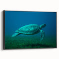 Black and white framed canvas of a vintage Martinique landscape, ideal for bedroom wall art.