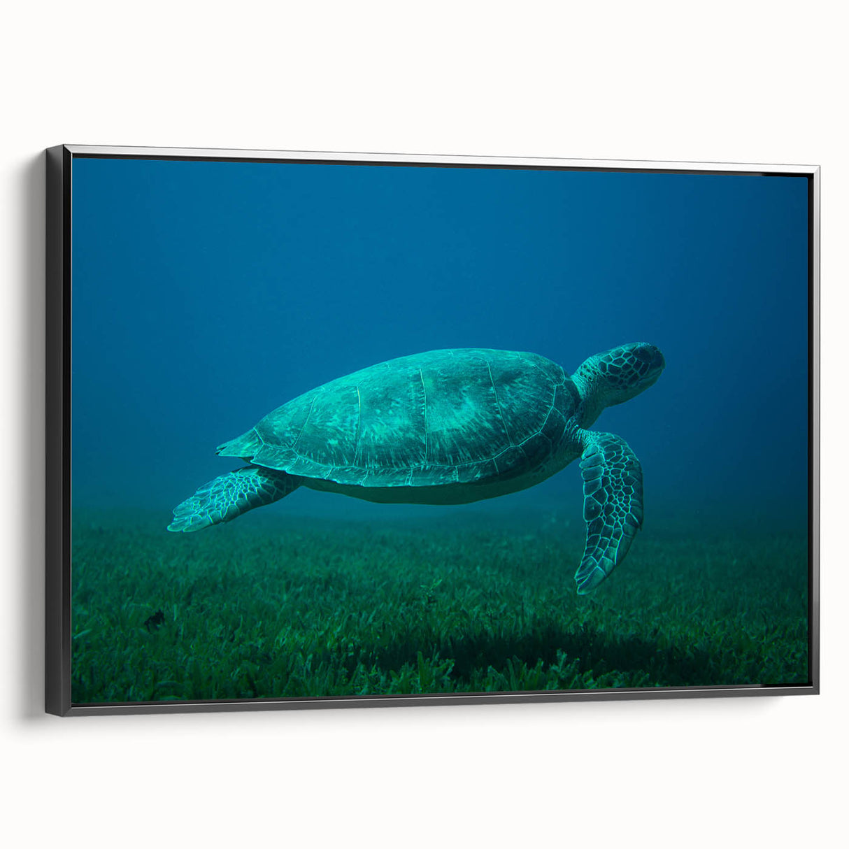 Black and white framed canvas of a vintage Martinique landscape, ideal for bedroom wall art.
