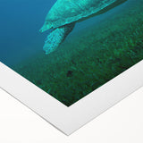 Art deco poster featuring a serene Caribbean Martinique landscape on rolled canvas, suitable for dining room decor.