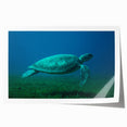 Extra large rolled print of a Caribbean Martinique scenery with vibrant green and blue tones, ideal for art wall dining room.