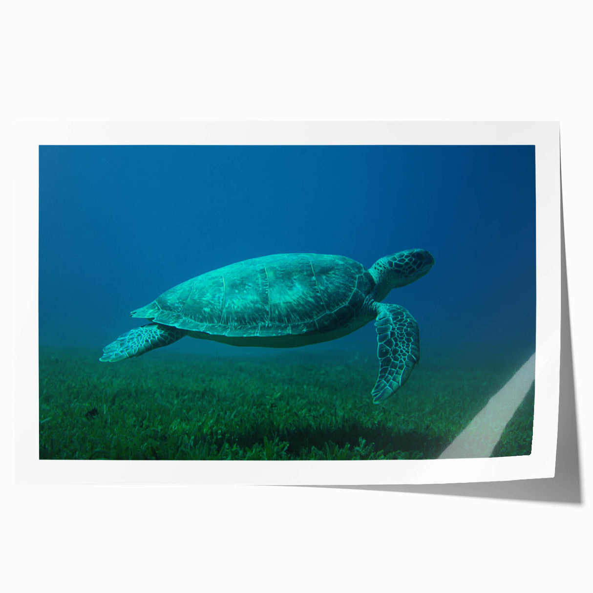 Extra large rolled print of a Caribbean Martinique scenery with vibrant green and blue tones, ideal for art wall dining room.