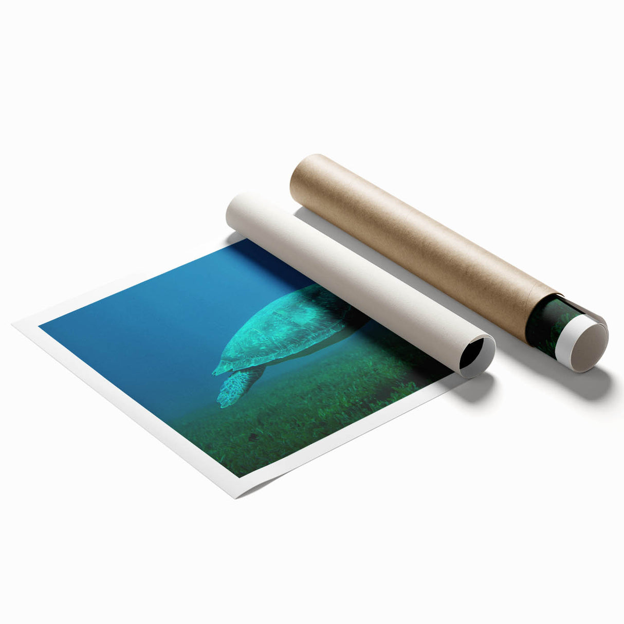 Extra large rolled print of a Caribbean Martinique scenery with vivid floral elements, ideal for classy bathroom wall art.