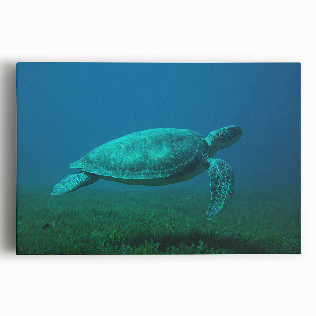 Black and white stretched canvas of Caribbean Martinique scenery, ideal for kitchen wall art or bedroom ambiance.