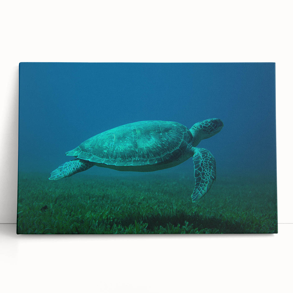 Large black and white photograph of Martinique scenery on stretched canvas, suitable for kitchen wall art.