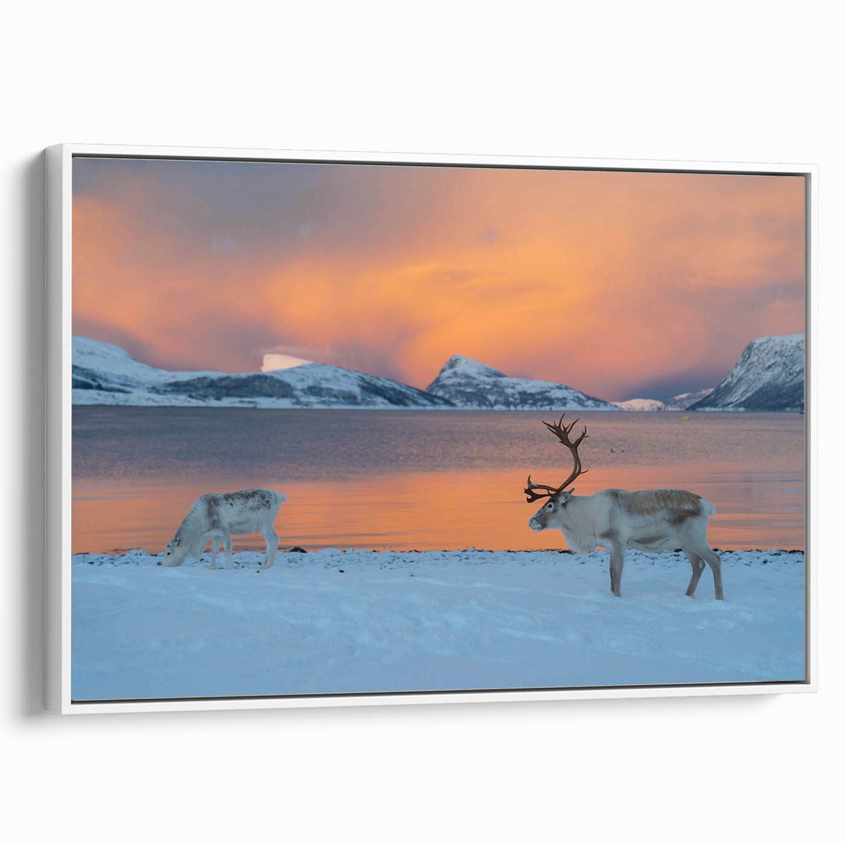 Vintage poster art of a European Norway scenery on extra large framed canvas, featuring colorful art on a black background.