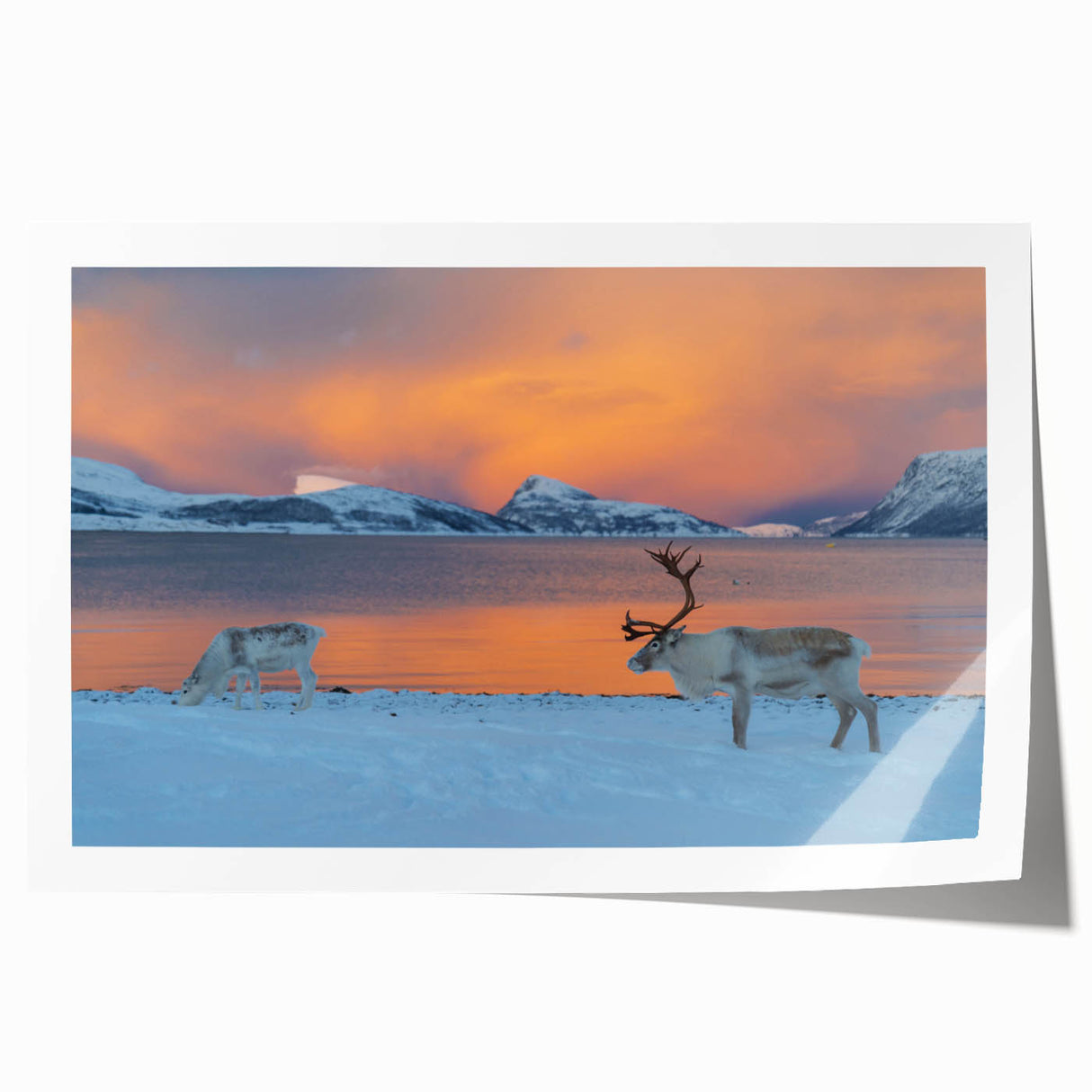Extra large rolled print of a scenic Norway landscape with vibrant green and blue tones, ideal for art wall dining room.
