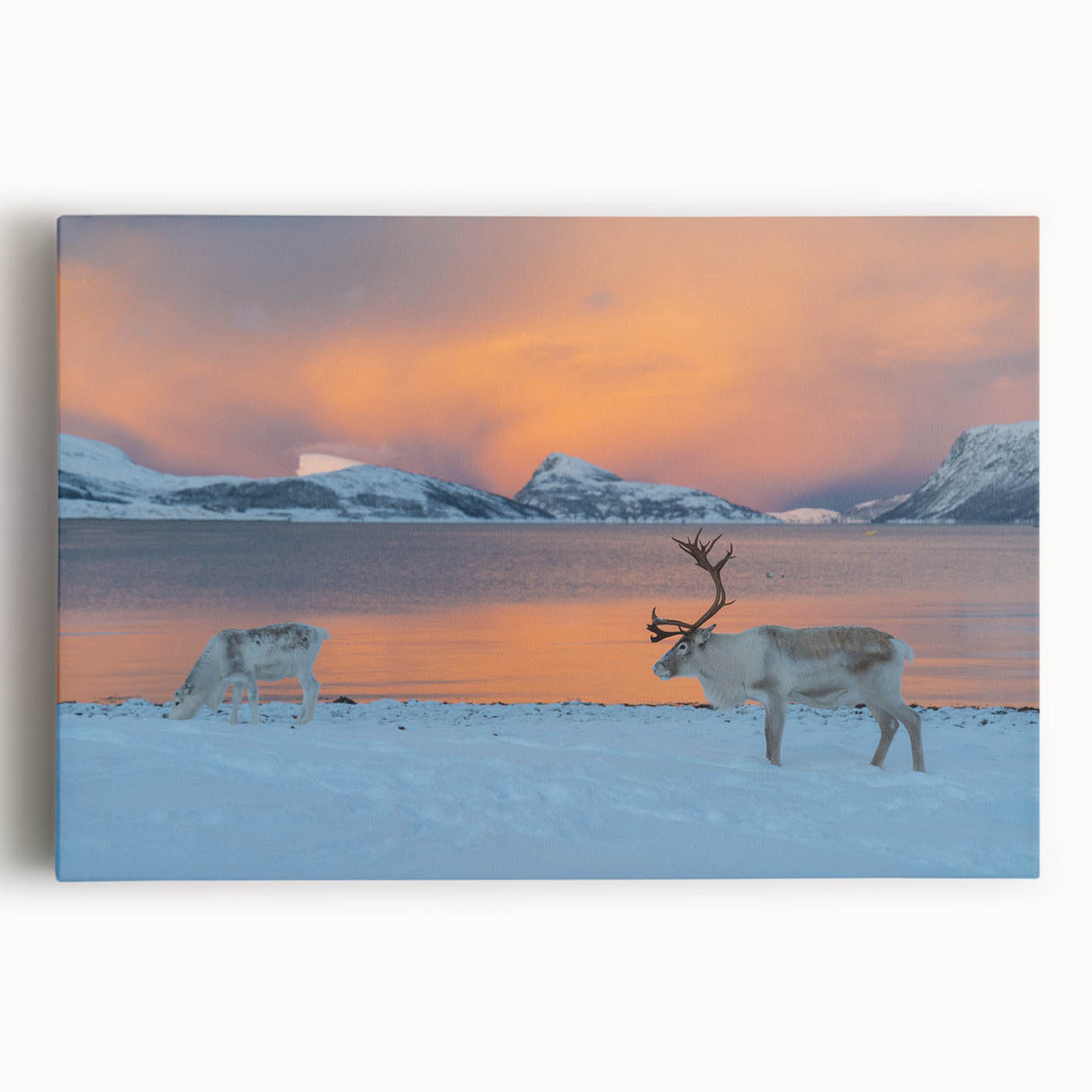 Black and white stretched canvas of a serene Norwegian landscape, ideal for kitchen wall art or bedroom decor.