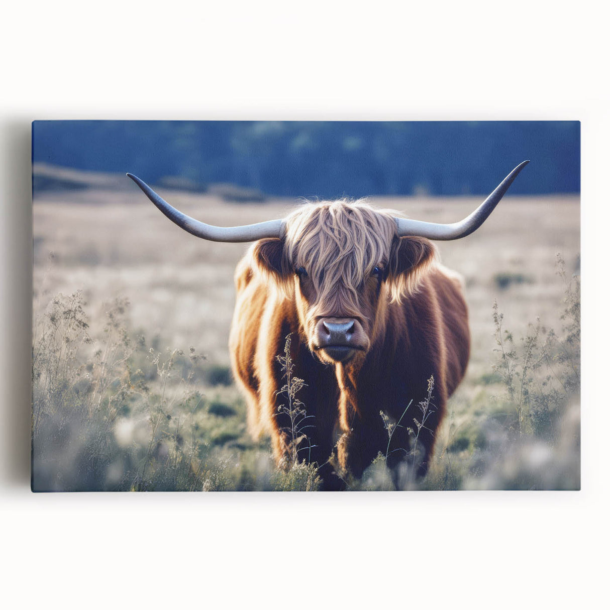 Black and white photograph of a Scottish landscape on stretched canvas, ideal for kitchen wall art or bedroom.