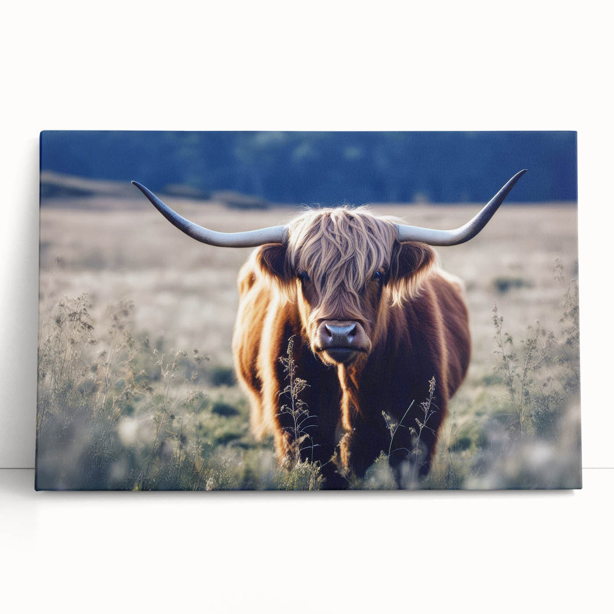 Black and white photo of a Scottish landscape on large stretched canvas, ideal for kitchen wall art.
