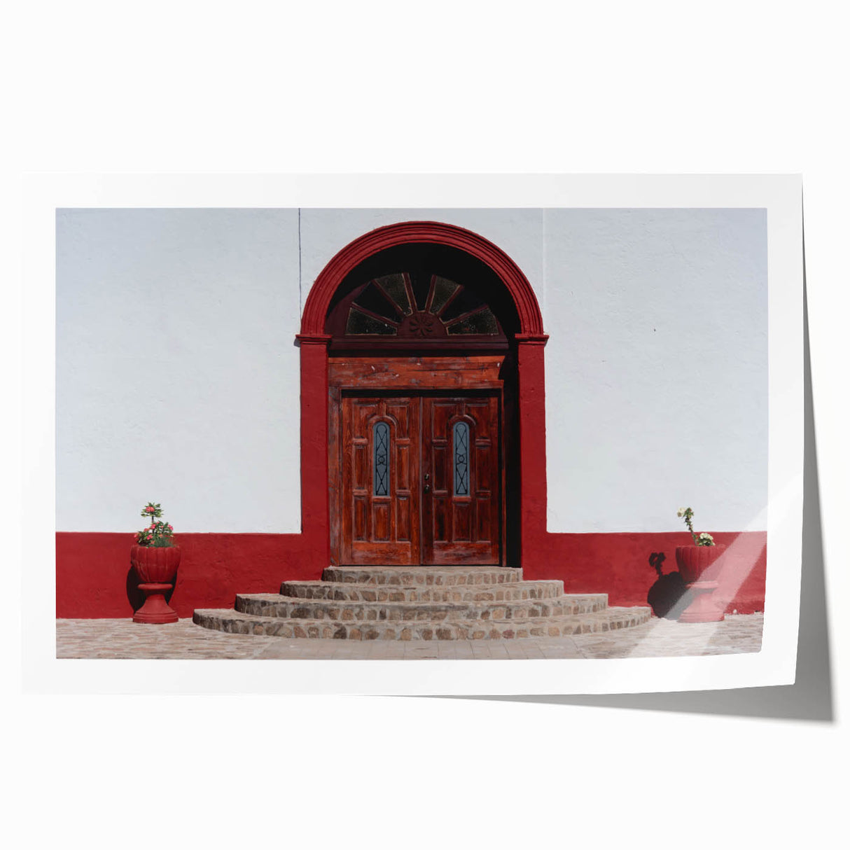 Extra large rolled print of Baja California scenery with vibrant floral elements, ideal for art wall dining room.