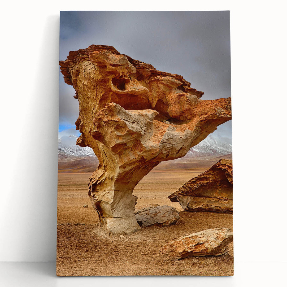 Black and white photo of Bolivian landscape on stretched canvas, ideal for kitchen wall art or bedroom ambiance.