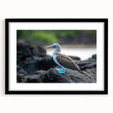 Extra large abstract art print of vibrant, colorful Galapagos scenery on textured canvas, framed in black.