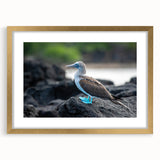 Extra large abstract art print of Galapagos scenery in textured gold frame, ideal for living room wall art.