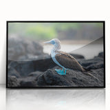 Large abstract wall art depicting a vibrant Galápagos scenery in a black acrylic frame, ideal for modern living room decor.